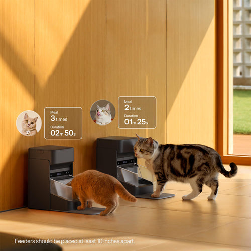 RFID Smart Cat Feeder with Collar Sensor for Personalized Multi Cat Feeding and Meal Tracking