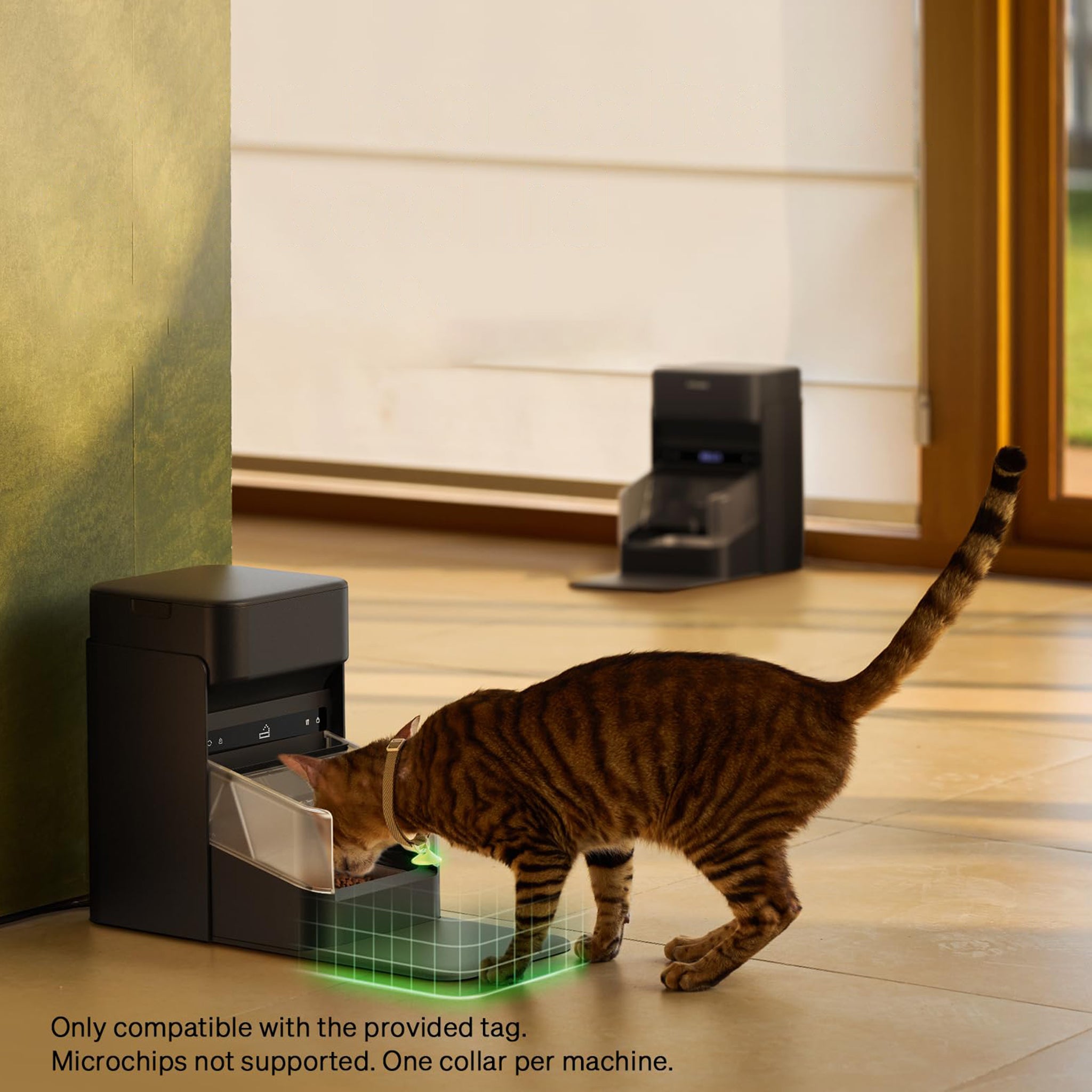 RFID Smart Cat Feeder with Collar Sensor for Personalized Multi Cat Feeding and Meal Tracking