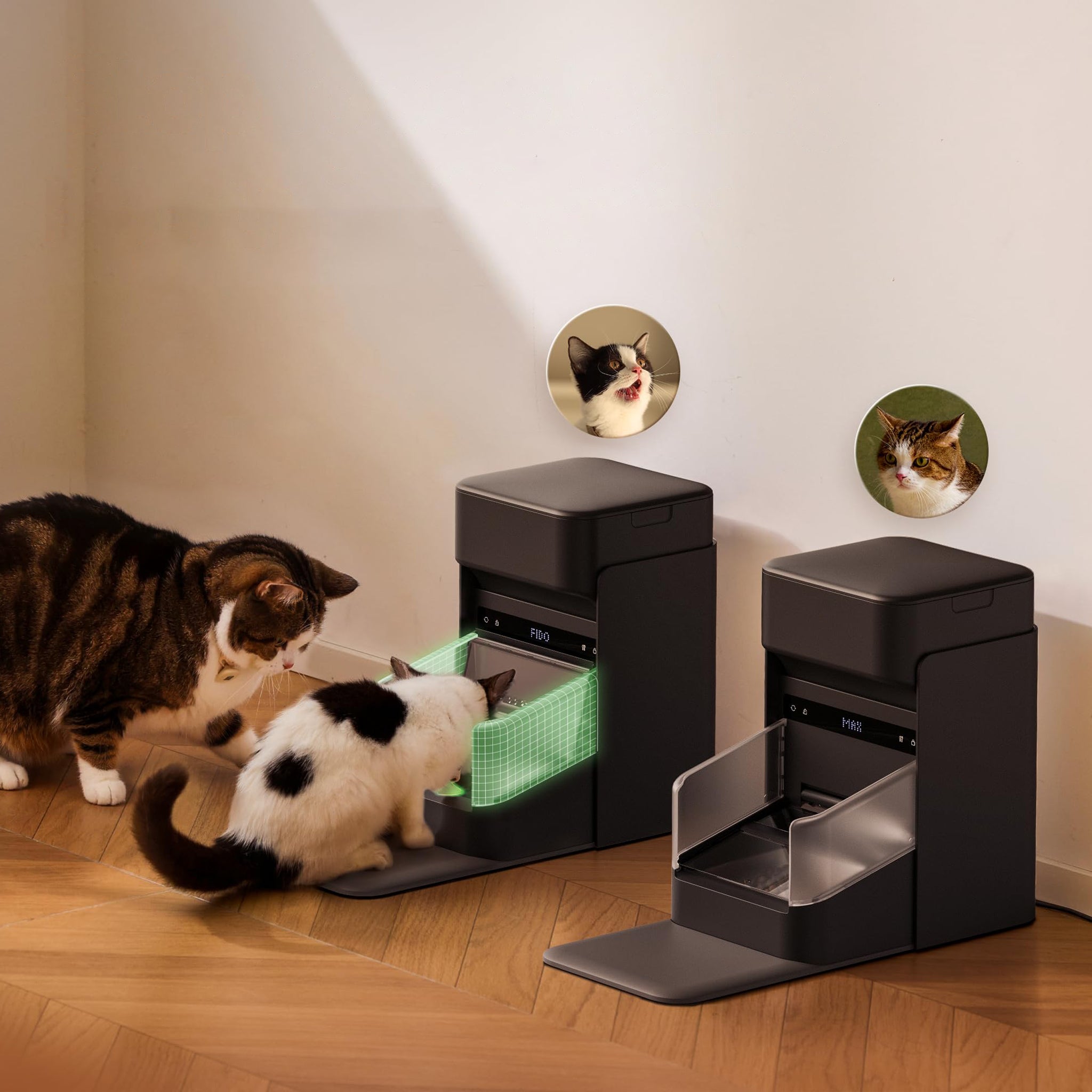 RFID Smart Cat Feeder with Collar Sensor for Personalized Multi Cat Feeding and Meal Tracking