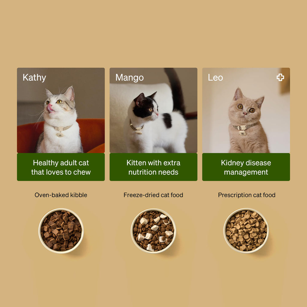 RFID Smart Cat Feeder with Collar Sensor for Personalized Multi Cat Feeding and Meal Tracking
