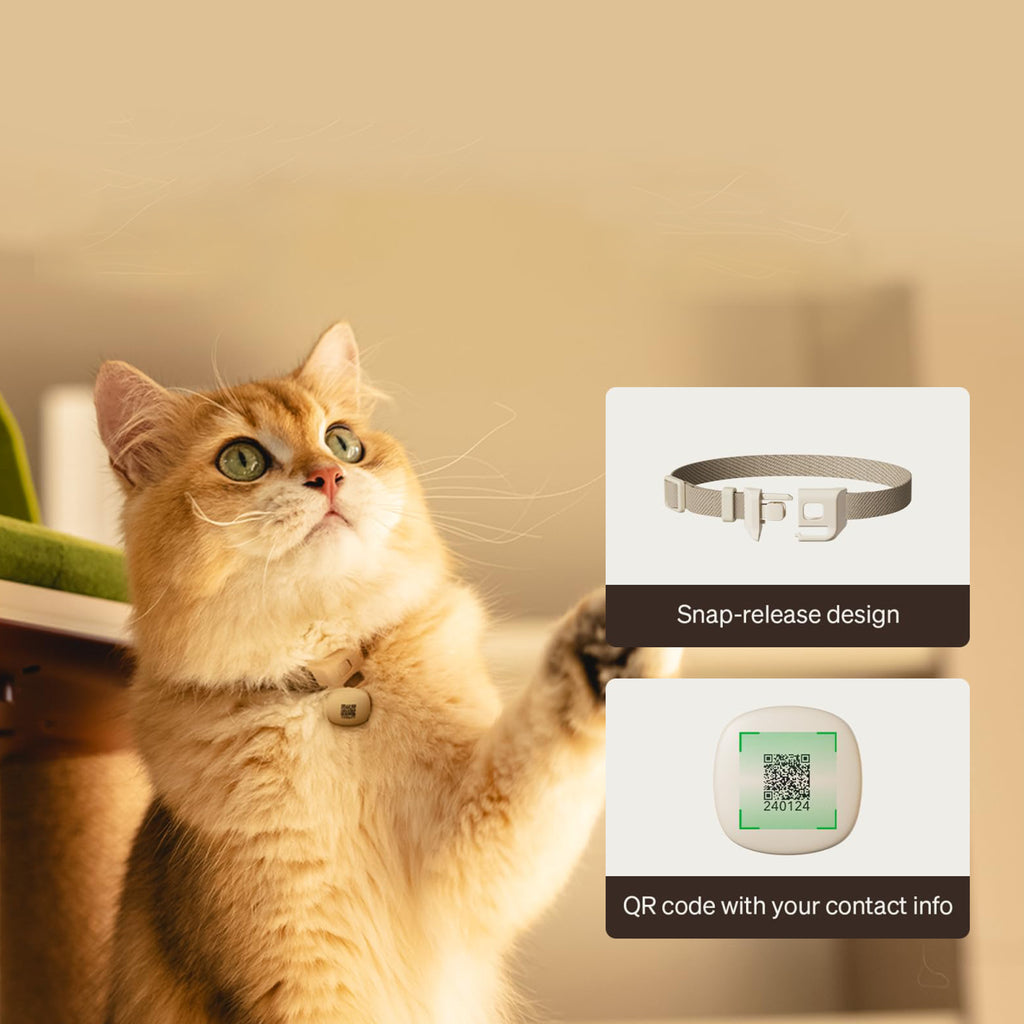 RFID Smart Cat Feeder with Collar Sensor for Personalized Multi Cat Feeding and Meal Tracking